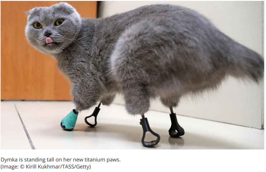 3D printing cat feet