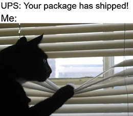 UPS 4Q2020 earnings package shipped meme