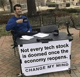 Not every tech stock is doomed post-pandemic meme