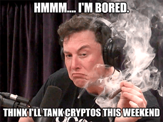 Elon think I'll tank cryptos meme