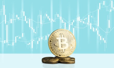Elon Musk & Crypto + Bull Trap: Busting Market Myths
