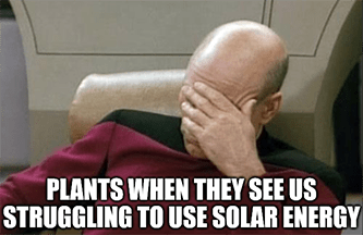 Plants watching us struggle use solar energy meme - August Sanofi investing edition