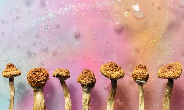 Buy Moment for Medical Mushroom Revolution