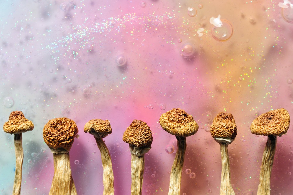 Buy Moment for Medical Mushroom Revolution