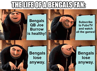 Life of Bengals fan Gru lose anyway meme