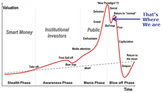 Investing cycle chart emotional bull trap