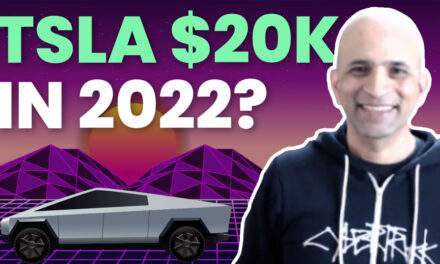TSLA 20k