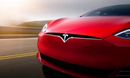 Tesla Robotaxis options to invest