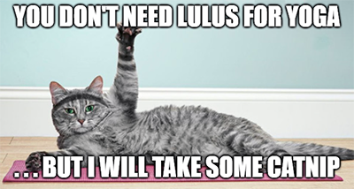 Lululemon expensive cat yoga catnip meme