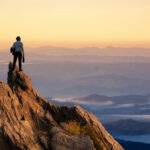 The Market Tested Me, and I Passed